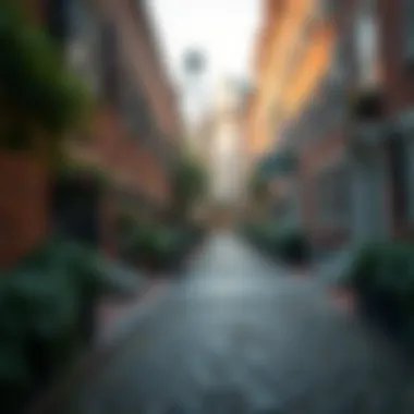 The Enchanting Cobblestones of Acorn Street Quaint cobblestone pathway of Acorn Street