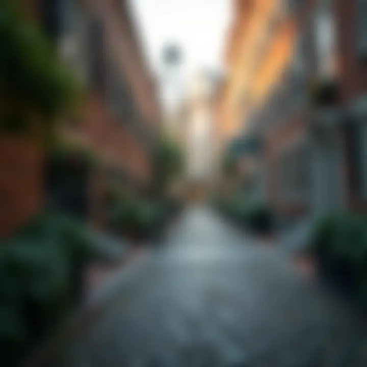 The Enchanting Cobblestones of Acorn Street Quaint cobblestone pathway of Acorn Street