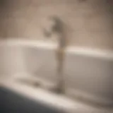 Illustration of a clogged bathtub drain