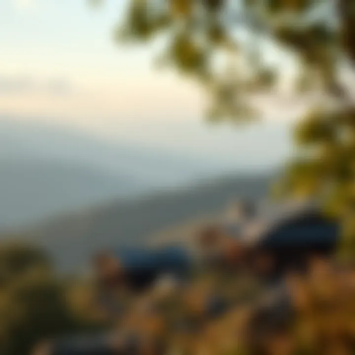 A serene landscape highlighting nature's beauty in an affordable region