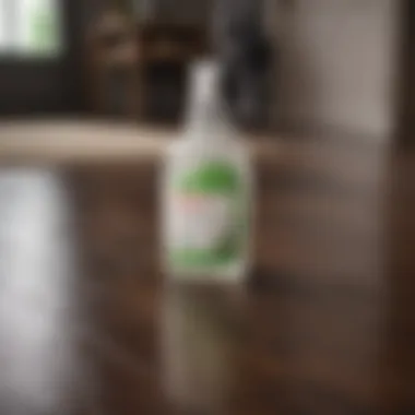 Selection of eco-friendly cleaning products on a surface