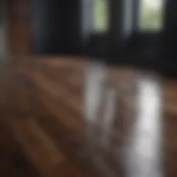 Elegant dark wood floor with sunlight reflection