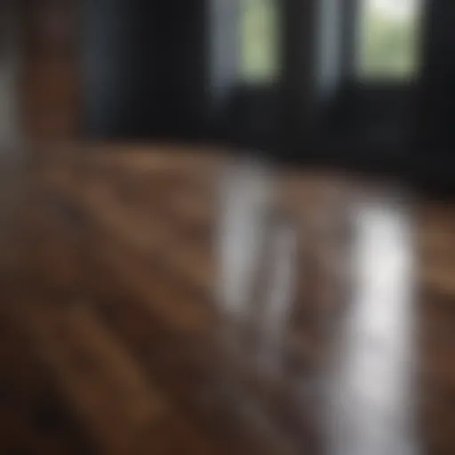 Elegant dark wood floor with sunlight reflection