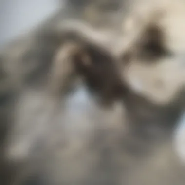 Architect measuring a room with a tape measure