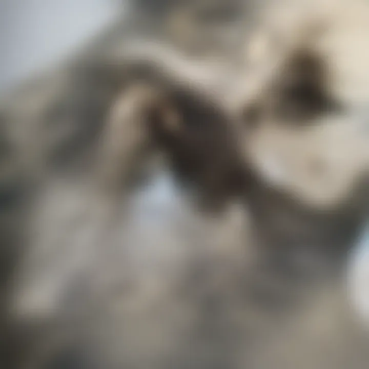 Architect measuring a room with a tape measure