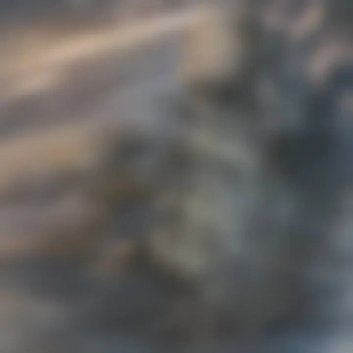 A panoramic view of the Dallas skyline