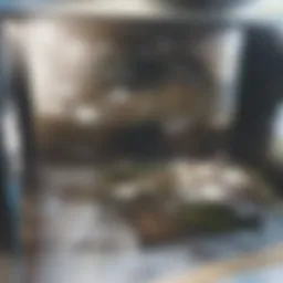 Cleaning supplies for flat screen TVs laid out on a table