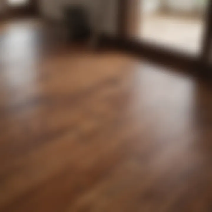 Before and after cleaning hardwood floors