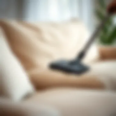A close-up of a plush sofa cushion being vacuumed