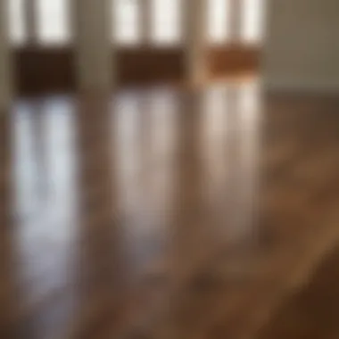 A pristine hardwood floor after thorough cleaning, demonstrating its shine