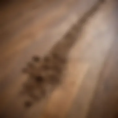 A close-up of hardwood floor showcasing built-up dirt and grime