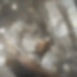 Chemical cleaner bottle with vibrant label