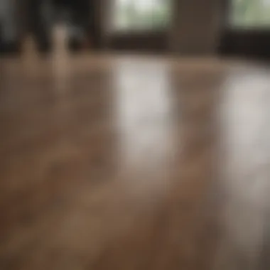 A selection of laminate floor cleaning products on display