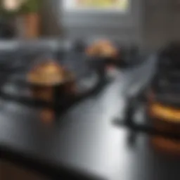 Pristine range stove top