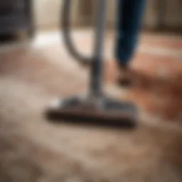 Person vacuuming an area rug to remove dust and debris