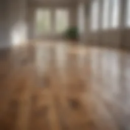 A pristine wooden floor reflecting natural light