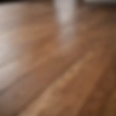 Close-up of a wood floor finish being applied