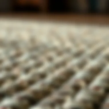 Intricate Details of a Woven Rug Close-up of a woven rug's intricate pattern