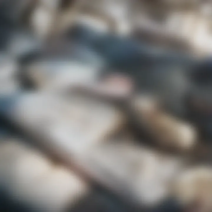 Close-up of different sofa fabrics with cleaning solutions