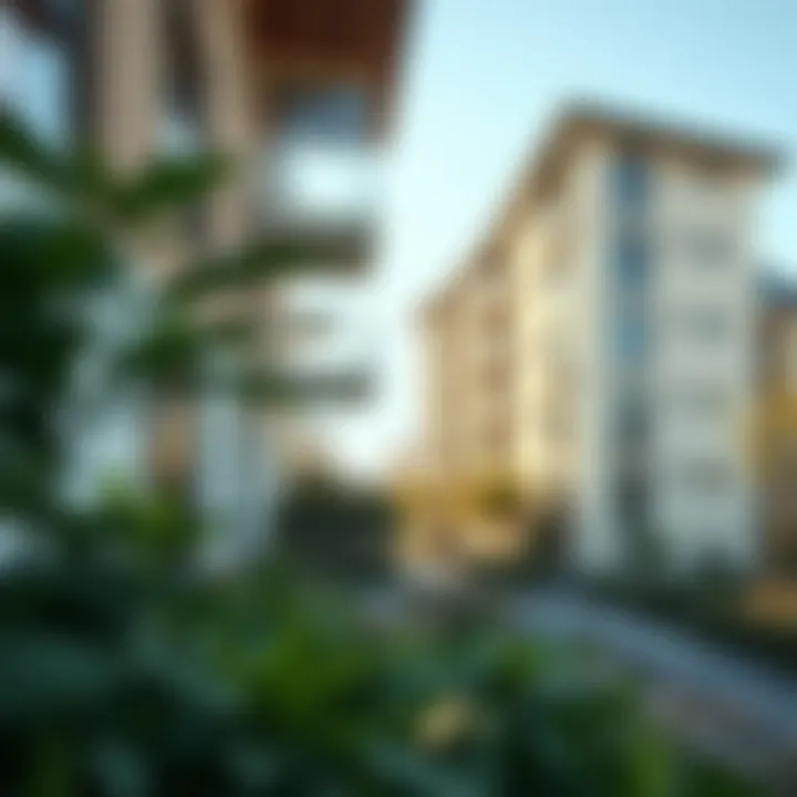 Balancing responsibilities between tenants and landlords