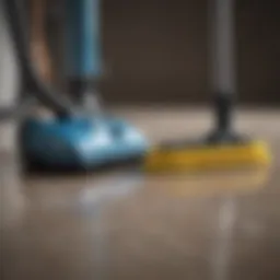 Professional cleaning supplies arranged on a surface