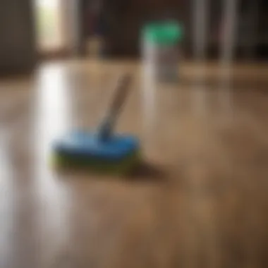 Essential cleaning supplies for maintaining laminate surfaces.