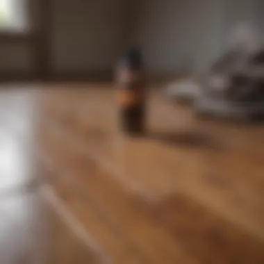 Tools and materials set out for applying wood floor stain