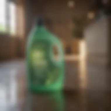 Sustainable Cleaning Products for a Greener Home Eco-friendly cleaning products promoting sustainability