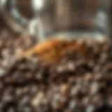 A close-up of freshly ground coffee beans showcasing their rich texture