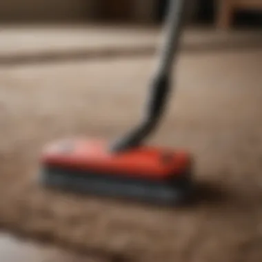 Essential Cleaning Tools for Shag Rugs An array of cleaning tools specifically for shag rugs