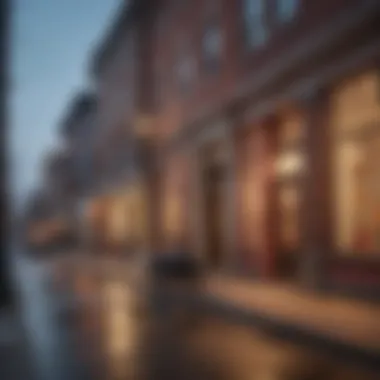 Exploring the Lively Streets of D.C.: Culture in Every Corner Vibrant neighborhood street in D.C.