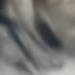 A close-up of a vacuum system specifically designed for dryer vent cleaning, showcasing its features.