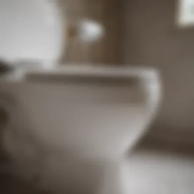 Close-up of a toilet bowl with water