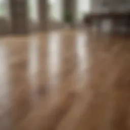 Elegant hardwood floor with natural light