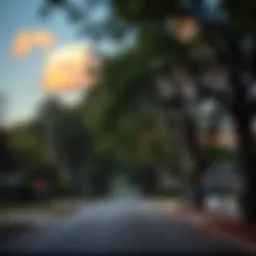 A picturesque view of a peaceful neighborhood in Atlanta showcasing tree-lined streets and well-kept homes.