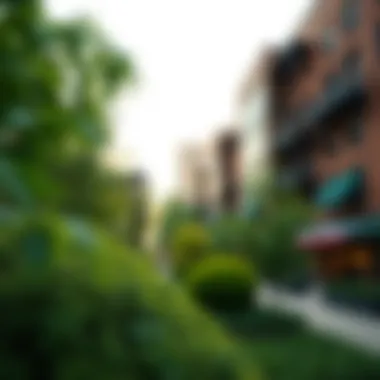 Green Space in Chinatown Lush green park nestled in the heart of Chinatown