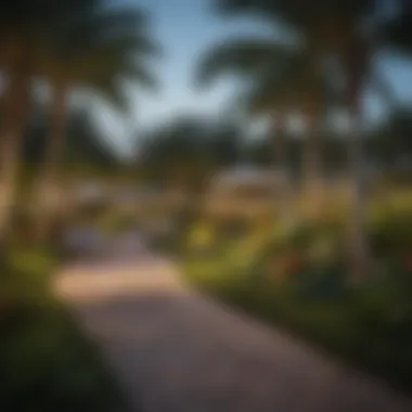 Relaxing Park in a Vibrant Neighborhood A lush park in one of the vibrant neighborhoods surrounding Miami, ideal for relaxation.