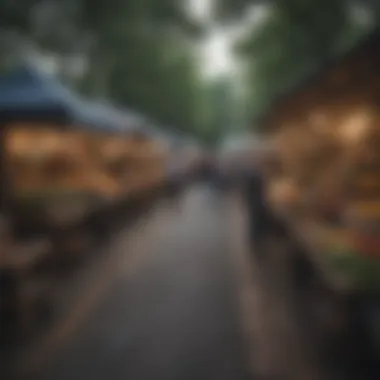 Local Outdoor Market Experience A lively outdoor market filled with local vendors and unique crafts in Atlanta