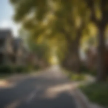 Charming tree-lined street in a Denver neighborhood