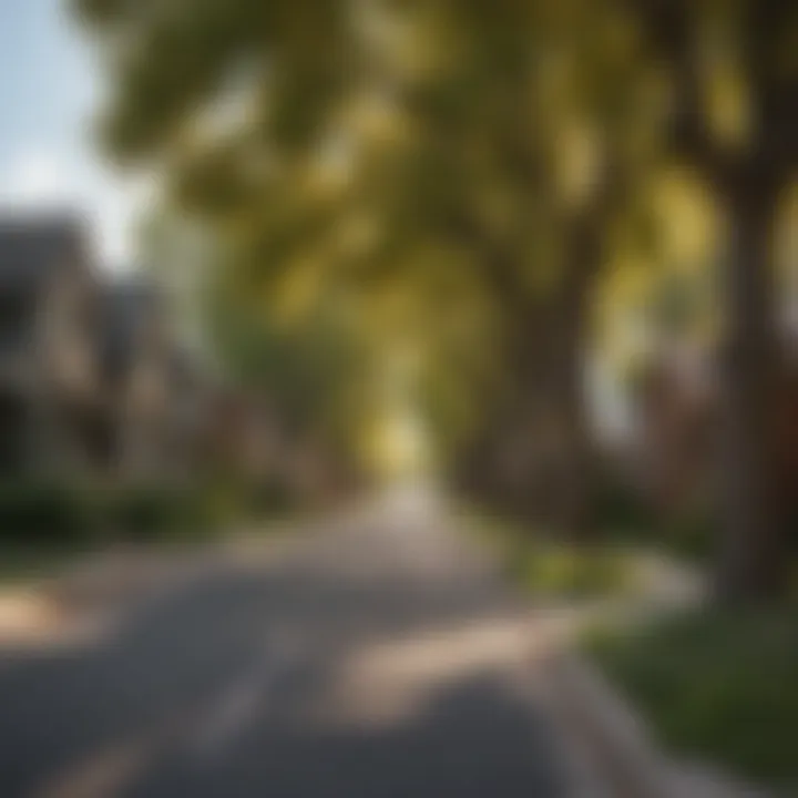 Charming tree-lined street in a Denver neighborhood