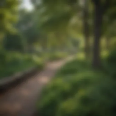 Beautiful urban park in the Boston metropolitan area