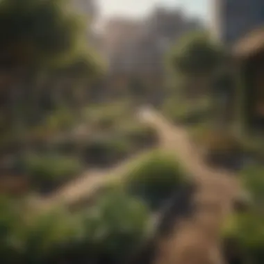 A community garden flourishing in an urban environment