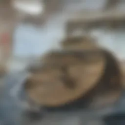 Exterior view of a charming rental home