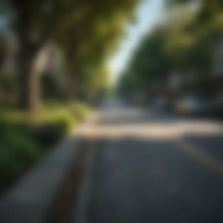 Charming streets of Madison Park lined with trees