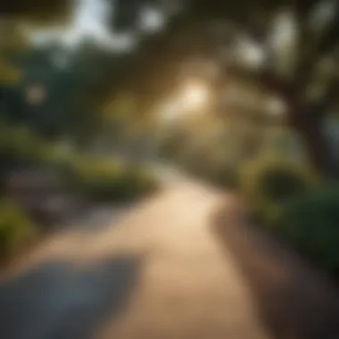 Tranquil Neighborhood Park A tranquil park in one of Austin's residential neighborhoods, perfect for relaxation