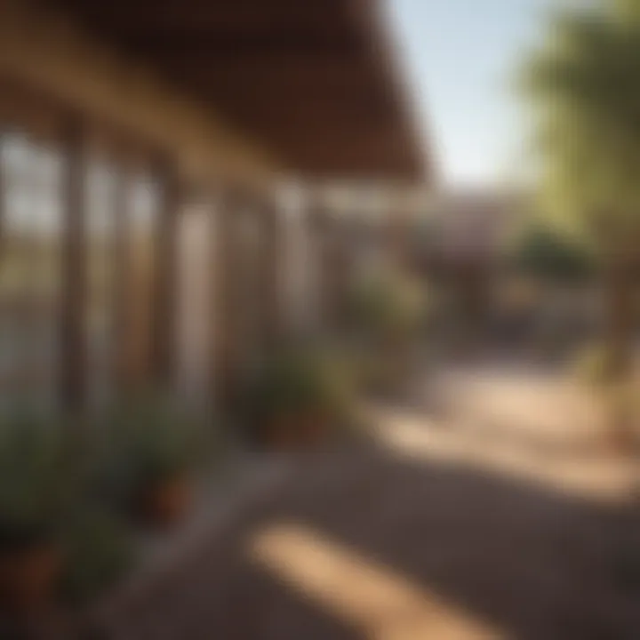 Active community event showcasing Arizona's cultural diversity