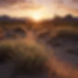 Breathtaking landscape view of Arizona's desert at sunset