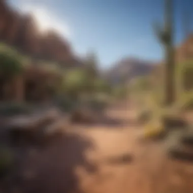 Outdoor Recreation in Arizona Lush outdoor recreational area in Arizona with hiking trails