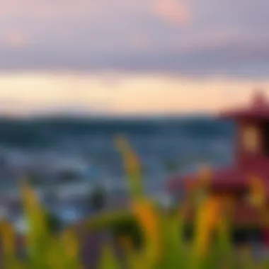 Scenic view of San Rafael showcasing community and surroundings