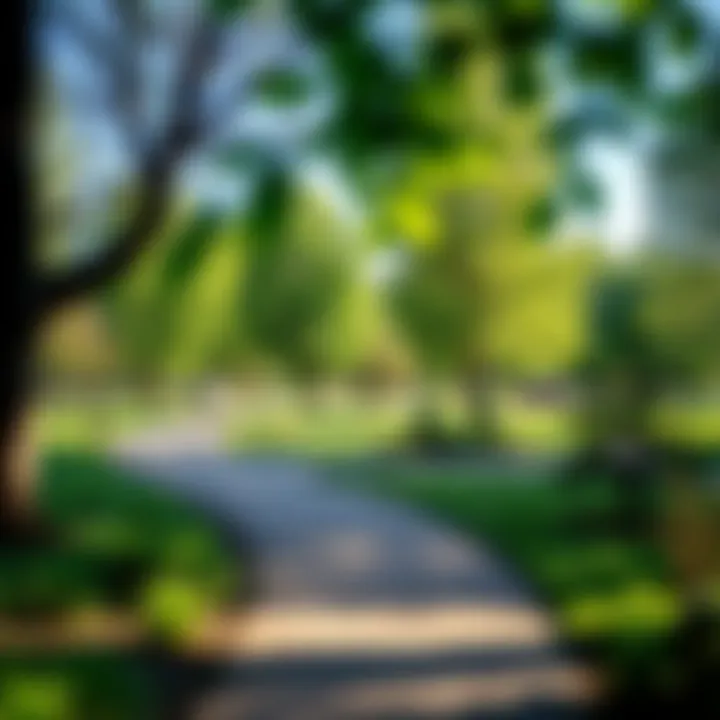 Vibrant Local Park in Glover Park Vibrant local park filled with greenery and recreational space